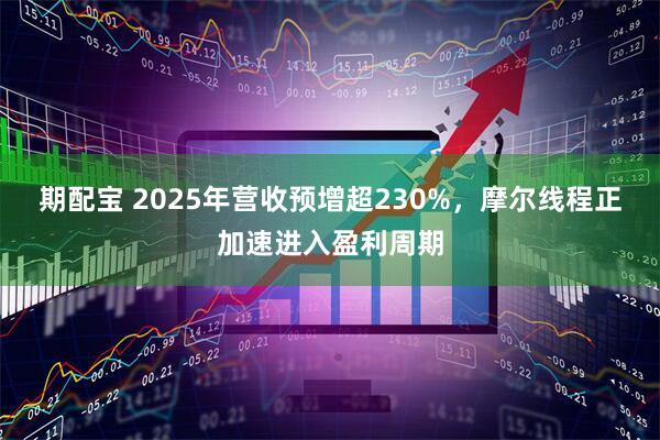 期配宝 2025年营收预增超230%，摩尔线程正加速进入盈利周期